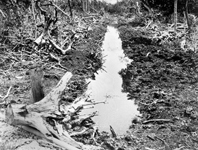 Old canal for mosquito control project