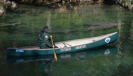 A park ranger counts wintering manatees in Blue Springs State Park