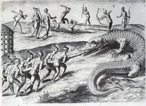 Timucuan alligator hunt, drawn by Jacques Le Moyne, circa 1564 