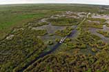 Aerial photo of an airboat in a marsh 