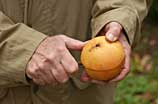 Photo of Jimmy slicing an orange