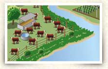Illustration of cattle farm on river
