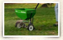 Photo of person fertilizing lawn