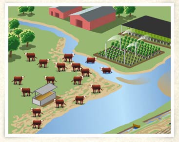 Illustration of River friendly farm animation